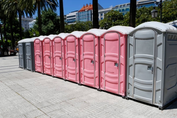 Best Portable Toilets with Baby Changing Stations  in Fairfield, IA